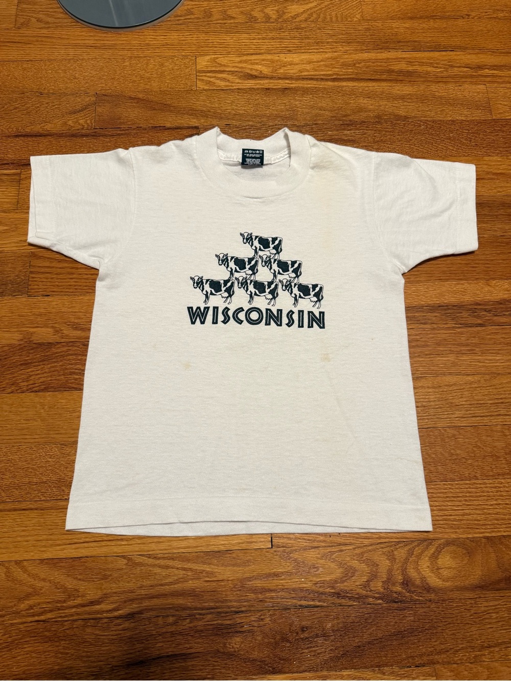 Vintage 80s 90s Wisconsin Cow Pyramid T-shirt, Packers Vacation (Youth Medium)